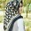 Anna Nuryuliani, S.Pd, MM